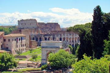SHOW & GO COMBO: Vatican Museum, Sistine Chapel, Colosseum, Forums and Palatine Hill