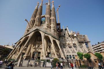 Private Tour: Barcelona Full-Day Sightseeing Tour