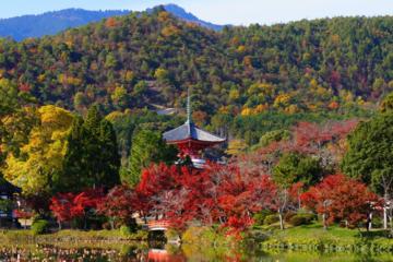 Autumn Leaves: Small-Group Arashiyama and Sagano Walking Tour