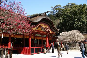 Fukuoka full day highlight private walking tour