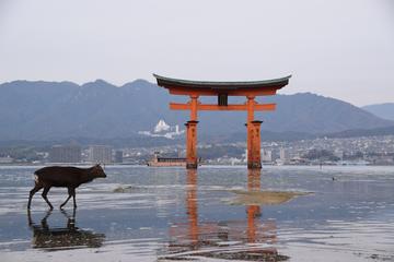 Hiroshima one day private walking Tour