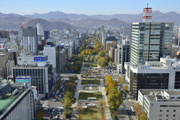 Hokkaido Private Walking Tour