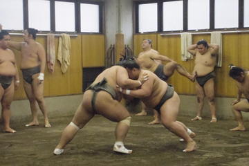 Visit to Sumo Morning Practice