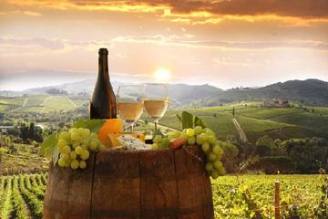 Private Chianti wine tour leaving from Florence