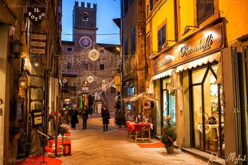 Private tour from Florence to Cortona and Arezzo