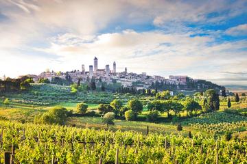 Private tour from Livorno port to San Gimignano & Volterra