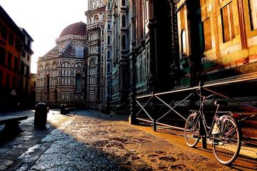 Private tour to Florence and Pisa from Livorno port