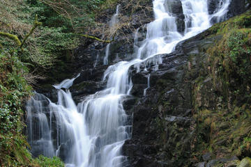 Cobh Shore Excursion: Ring of Kerry Highlights Private Tour