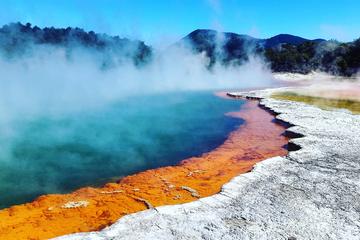 Absolutely Rotorua