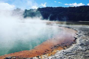 Wai-O-Tapu Thermal Wonderland Option to add Waimangu, Hobbiton or Whakarewarea