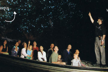 Waitomo Day Trip with Option to Add Hobbiton from Auckland