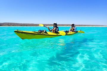 3-Day Ningaloo Reef Kayaking, Snorkeling and Camping Tour from Exmouth