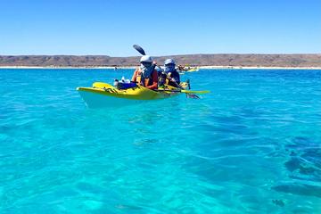 5-Day Ningaloo Reef Kayaking, Snorkeling and Camping Tour from Exmouth