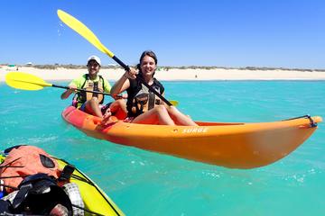 Afternoon Ningaloo Reef Kayaking and Snorkeling Tour