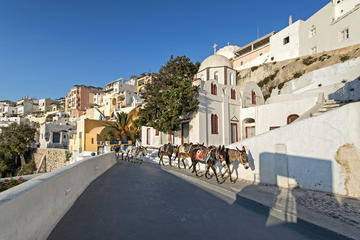 Santorini Private Tailor Made Experience with Food and Wine Tasting