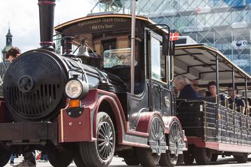 Copenhagen Train Tours