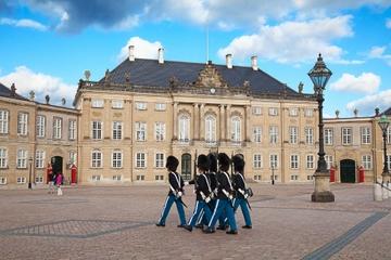 Panoramabyrundtur i København inkl. Tivoli