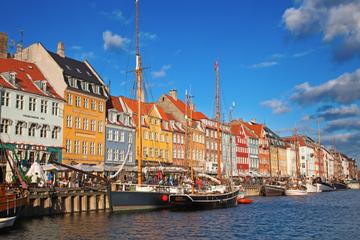 Tour panoramico della città di Copenaghen con crociera del porto