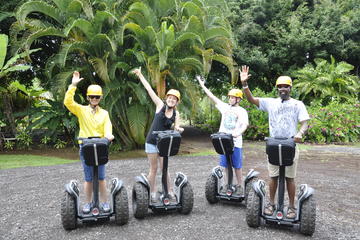 Segway Aloha Intro Tour - 30 Minutes - Rating: EASY