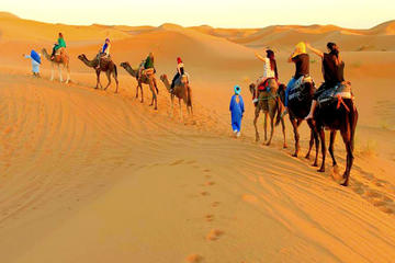 Magical Camel Trek