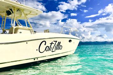 Half-Day Private Charter from St John