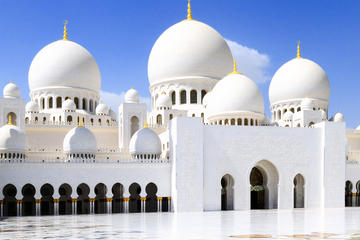 Abu Dhabi Shore Excursion: Sheikh Zayed Mosque and Falcon Hospital