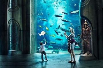 Atlantis Aquaventure  or Lost Chamber Entry with Optional Private transfers in Dubai