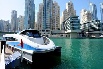 Day City Tour of Dubai's Modern Visions