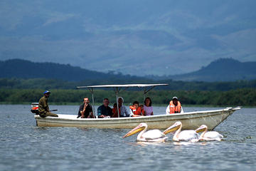 Full-Day Lake Naivasha Tour from Nairobi