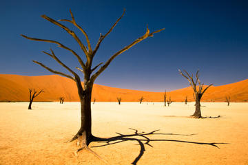 3-Day Namibia Desert Tour from Windhoek