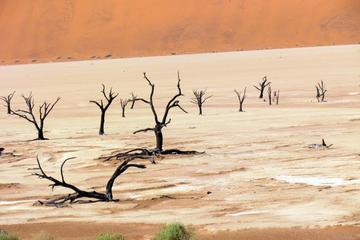 Deadvlei and Sossusvlei Tour by ATV