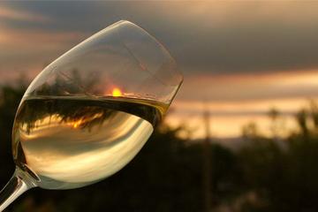 Provincia of Ascoli Piceno Wine Tasting