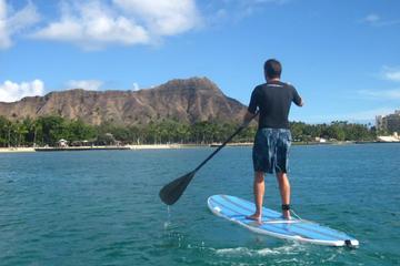 Day Trip One-On-One Private Stand-Up Paddling Lessons near Honolulu, Hawaii 