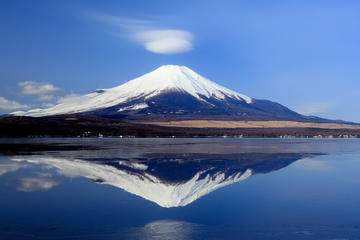 Japan Sakura Tour 6days