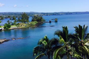 Hilo Bay and River Falls Adventure