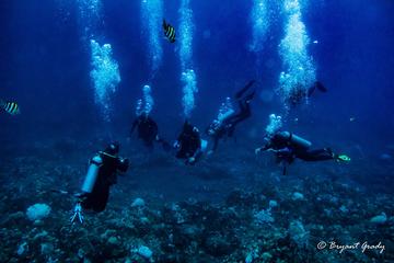 One Tank Dive For Certified Diver