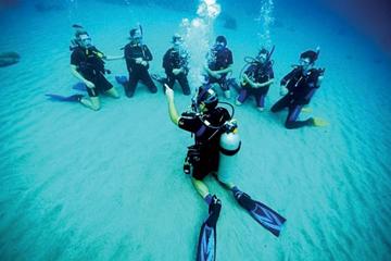 One Tank Introductory Dive No Experience or Certification Needed
