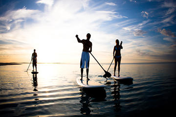 Stand Up Paddle Board Rental