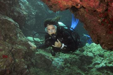 Two Tank Introductory Dive No Experience or Certification Needed
