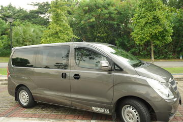 Private Singapore Arrival Transfer: Changi Airport to Hotel