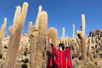 2-Day Uyuni Salt Flat with Overnight in Hotel VIP Including Flight from La Paz