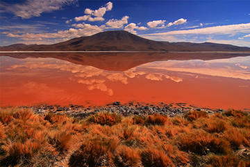 3-Day Salar de Uyuni and Laguna de Colores from Uyuni