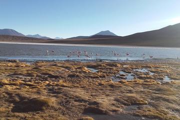 3-Day Salar de Uyuni