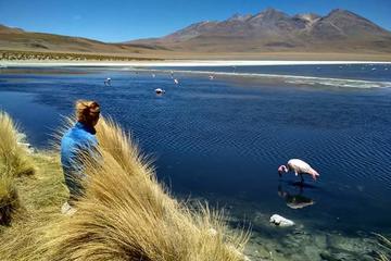3D 2N Uyuni Salt Flats with English Guide, Shared Tour from Uyuni