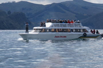 Day Tour to Titicaca Lake from La Paz