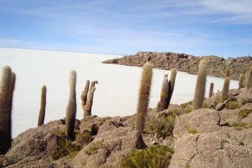 Private Day Trip Salar de Uyuni