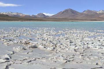 Private Tour 3 Days Uyuni Salt Flats and Colorful Lagoons from Uyuni