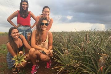 Custom Island Tours Oahu Hawaii - Private Tour Luxury Vehicle
