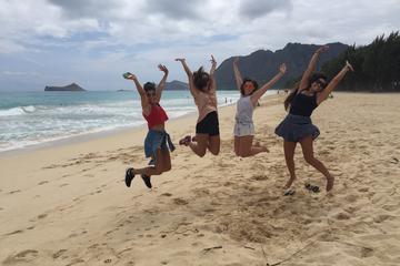 Private Oahu Circle Island Tour With Beaches and Local Food