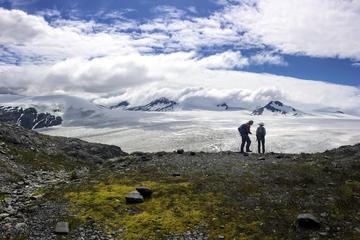 Harding Icefield Hiking Adventure